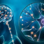 ما هو الإنعاش العقلي